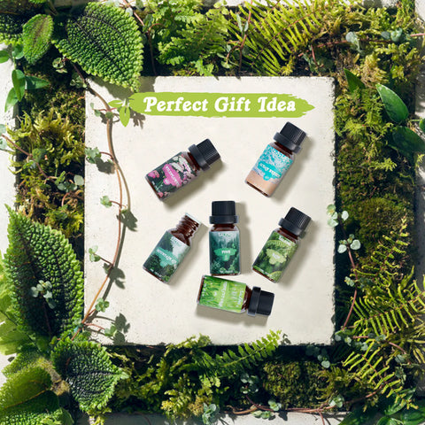Nature Diffuser Oils Set