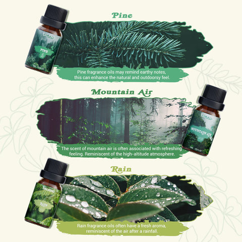 Nature Diffuser Oils Set