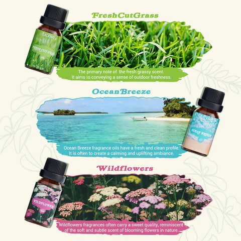 Nature Diffuser Oils Set